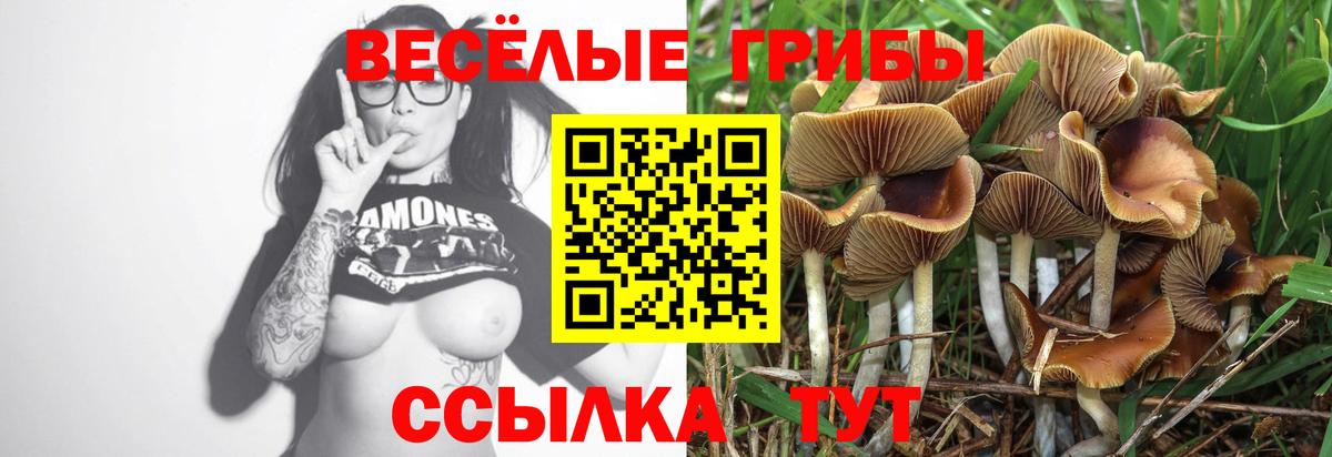 Кудрово  Псилоцибиновые грибы прущие грибы  Вход с VPN 