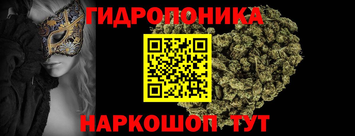 Канабис OG Kush Кудрово